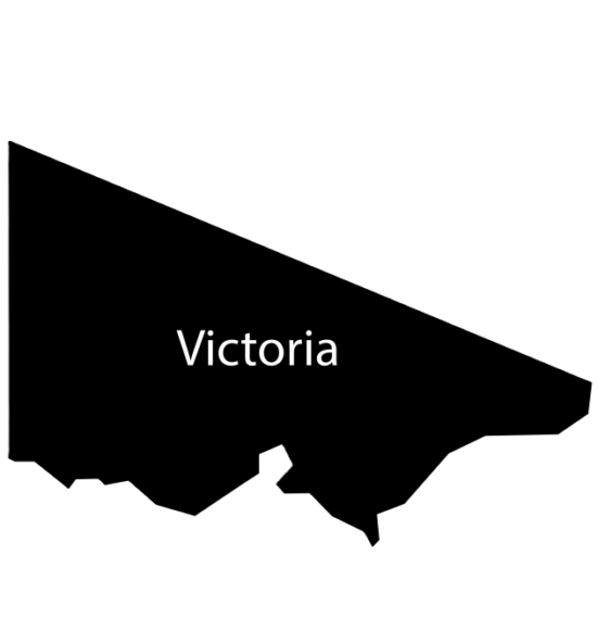 VIC